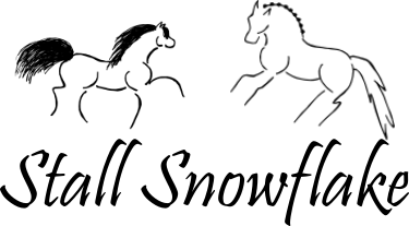 Logo Stall Snowflake